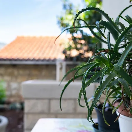 Apartman Bokarica *