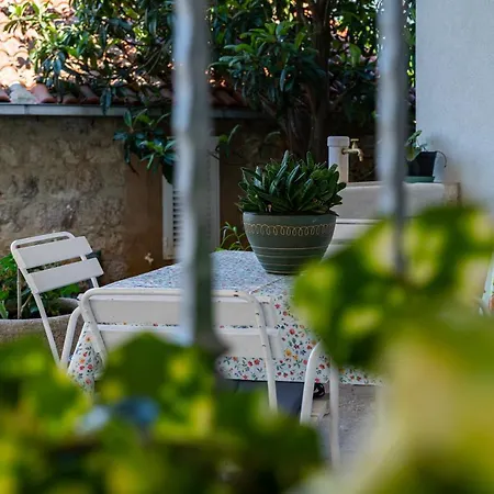 Bokarica Apartment *