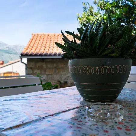 Apartman Bokarica *