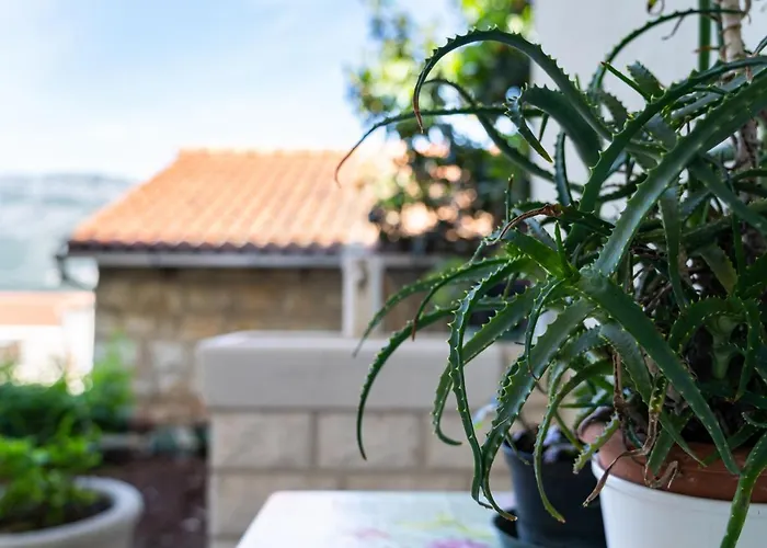 Apartamento Bokarica *